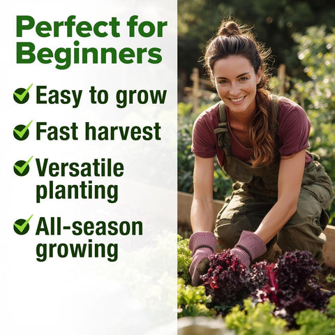 Lettuce and Leafy Greens Seeds - (8 Variety)