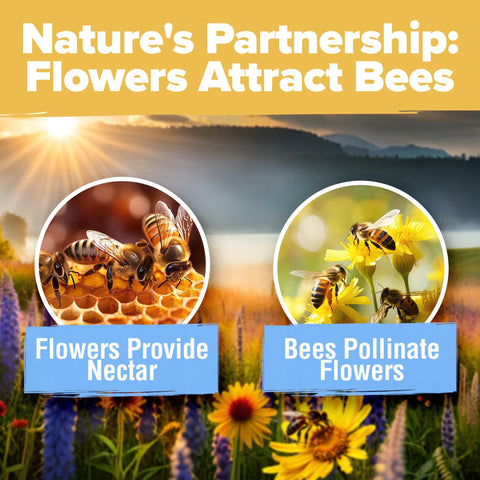 Honeybee Wildflower Seed Mix - 89,000+ Seeds (3 oz) - 19 Varieties