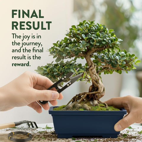 Bonsai Growing Kit - 4 Tree Varieties - Pots, Soil & Tools
