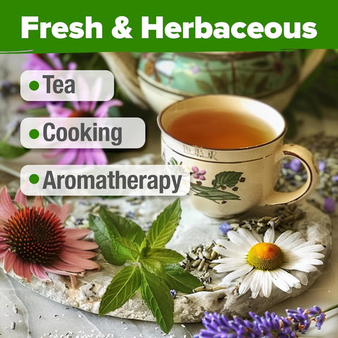Herbal Tea Seed Pack - (6 Variety)