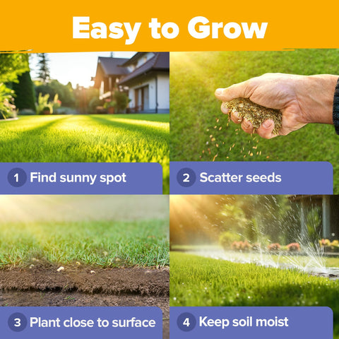 Wildflower Seed Mix - 47,400+ Seeds - 19 Annual & Perennial Varieties