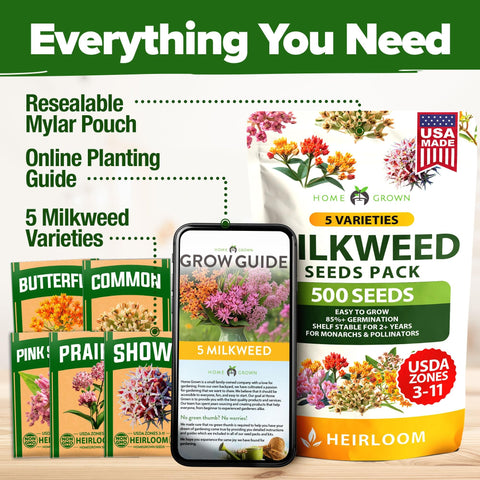 Common Milkweed Seeds - Monarch Host Plant - Perennial