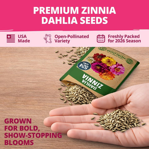 Dahlia Zinnia Seeds Mix - 524 Seeds (3.5g) - Large Double Blooms