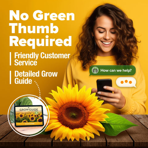 Sunflower Seeds - (8 Variety)