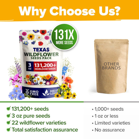 Texas Wildflower Seed Mix (3 oz) - Pure Seed, No Filler