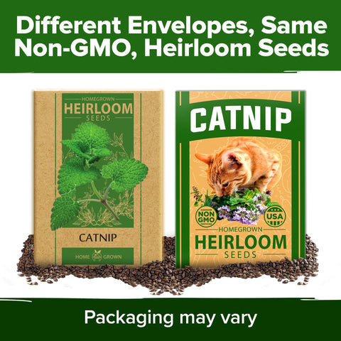 Catnip Seeds - 4,232 Seeds (2-Pack) - Heirloom Cat Herb