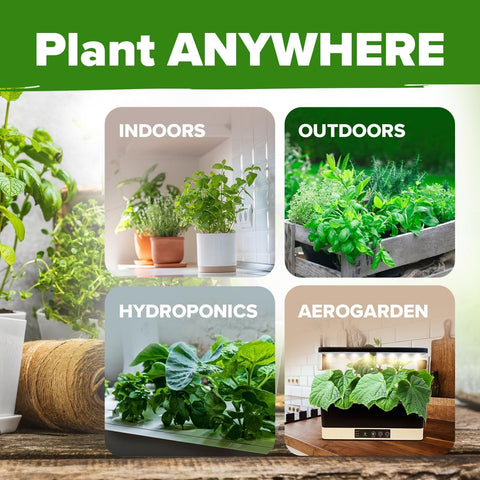 Herb Seed Pack - 6 Culinary Varieties - Indoor & Outdoor