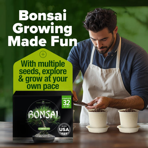 Bonsai Tree Grow Kit