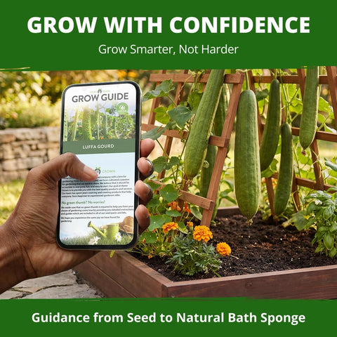 Luffa Seeds - 40 Seeds - Grow Natural Sponges