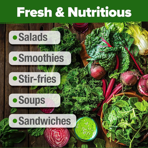 Lettuce and Leafy Greens Seeds - (10 Variety)