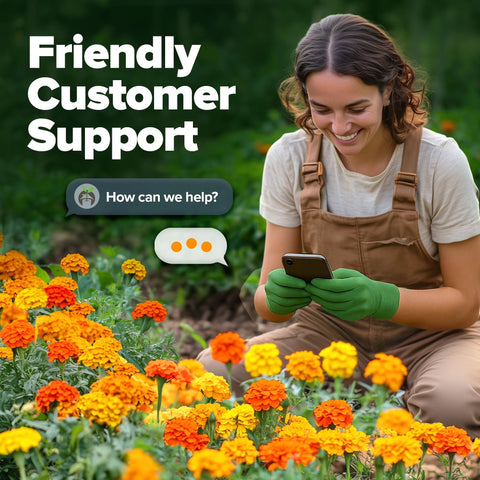 French Petite Marigold Seeds - 329 Seeds - Blooms in 45 Days