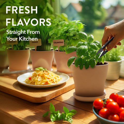 Indoor Herb Garden Kit - 4 Herb Varieties - Pots, Soil & Seeds