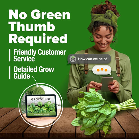 Bloomsdale Spinach Seeds - 350 Seeds - Dark Crinkled Leaves