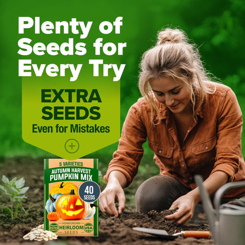 Pumpkin Seed Mix - 5 Varieties (40 Seeds) - Decorative & Edible