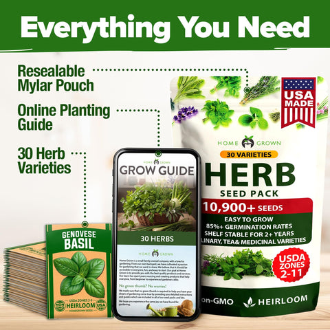 Culinary Herb Seed Vault - (30 Variety)