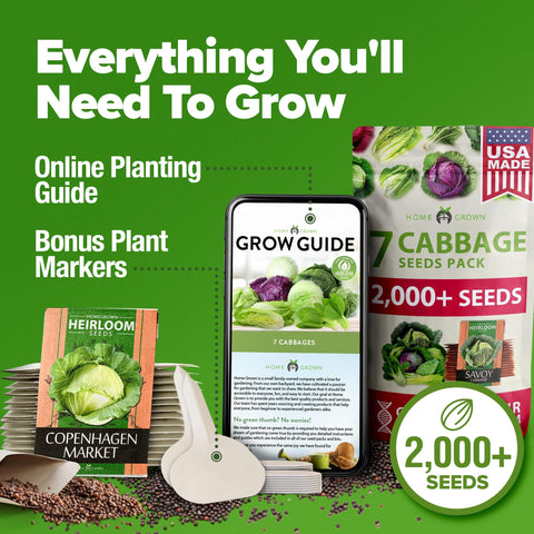 Cabbage Seed Pack - 7 Varieties (2,000+ Seeds) - Heirloom Mix
