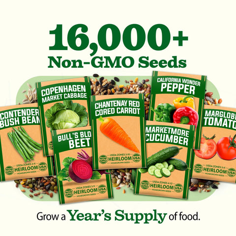 Heirloom Vegetable Seeds - (32 Variety)