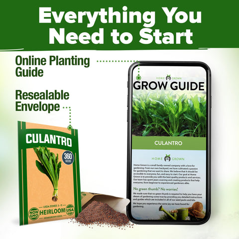 Culantro Seeds - 360 Seeds - Bold Recao Flavor