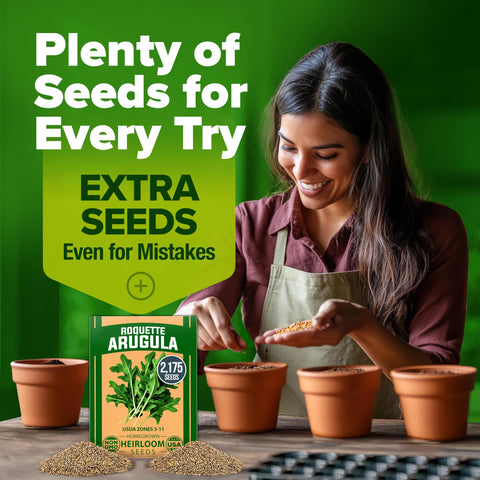 Arugula Seeds - 2,175 Seeds - Fast-Growing Salad Green