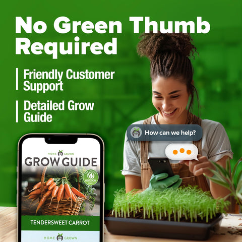 Tendersweet Carrot Seeds - 3,000 Seeds - Sweet & Tender Roots