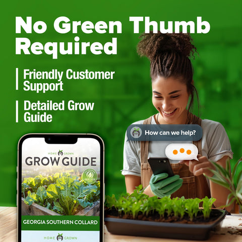 Georgia Southern Collard Seeds - 600 Seeds (2-Pack) - Heirloom Greens