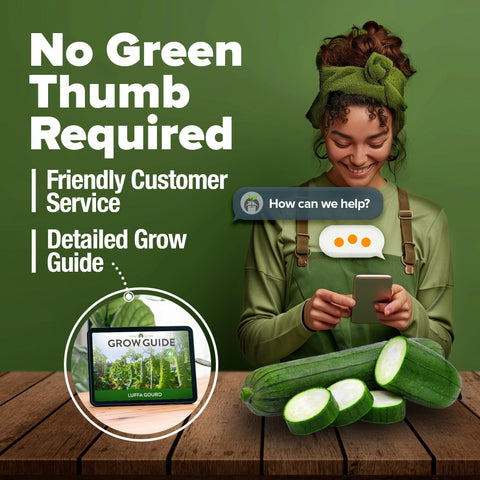 Luffa Seeds - 80 Seeds (2-Pack) - Grow Natural Sponges