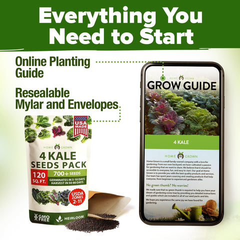 Kale Seed Pack - 4 Varieties (700+ Seeds)