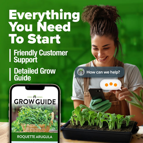 Arugula Seeds - 2,175 Seeds - Fast-Growing Salad Green
