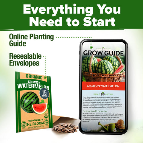 Organic Crimson Sweet Watermelon Seeds - 15 Seeds - 20-25 lb Melons
