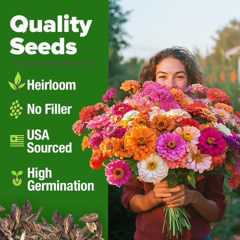 California Giant Zinnia Seeds - 2 oz - Six-Color Double Blooms