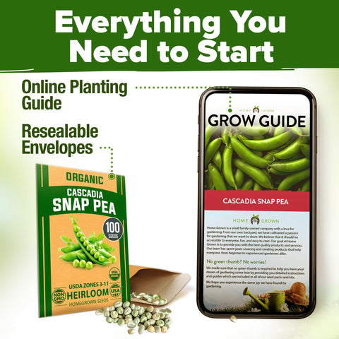 Organic Cascadia Snap Pea Seeds - 100 Seeds - Sweet Stringless Pods