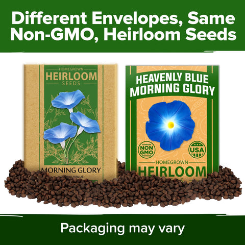 Heavenly Blue Morning Glory Seeds - 150 Seeds - Sky-Blue Vine