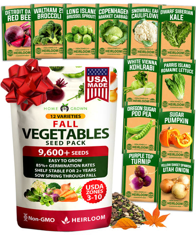 Fall & Winter Vegetable Seed Pack – 9600+ Non-GMO Heirloom Seeds for Cold-Season Gardening – Easy-Grow Cool Weather Veggies