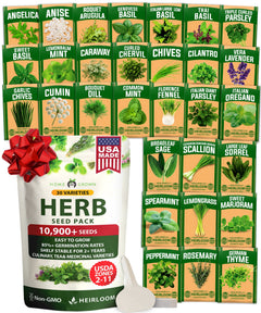 Culinary Herb Seeds, 30 Varieties, 10,900+ ct, USA - Homegrown Garden