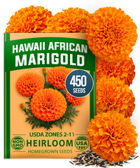 Hawaii African Marigold Seeds - 450 Seeds - Giant Orange Blooms