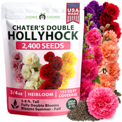 HOME GROWN Hollyhock Chaters Double Mix 2400 Seeds (0.5g) – Alcea rosea Flower Seeds for Planting Spring 2026, Double Hollyhock Seeds Perennial Giant, Tall Cottage Garden Blooms