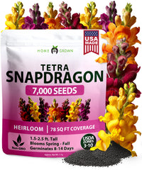 Tetra Snapdragon Seeds - 7,000 Seeds - Tall Mixed Colors