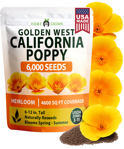 HOME GROWN California Poppy Golden West Seeds – 6000 Seeds for Spring 2026, Easy Grow Outdoor Flower Seeds, Eschscholzia cal…