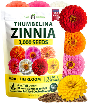Thumbelina Zinnia