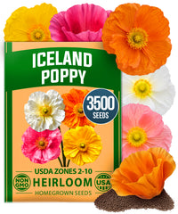 Iceland Poppy Seeds - 3,500 Seeds - Pastel Perennial Blooms