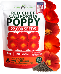 HOME GROWN California Poppy Seeds for Planting Red Chief 22 000 Seeds 29g Red Blooms Heirloom Non GMO Wildflower Pollinator Gardens Drought Tolerant Zones 2 10 Eschscholzia californica