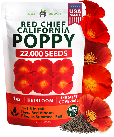 HOME GROWN California Poppy Seeds for Planting Red Chief 22 000 Seeds 29g Red Blooms Heirloom Non GMO Wildflower Pollinator Gardens Drought Tolerant Zones 2 10 Eschscholzia californica