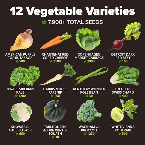 12 Winter Vegetable Seed Pack – Non-GMO, Heirloom Garden Seeds for Cold-Season Growing – High Germination, USA-Sourced Varie…