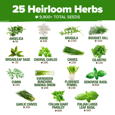 herb seeds and plants for sale Culinary Herb Seeds, 25 Varieties, 9900+ ct, USA Grown