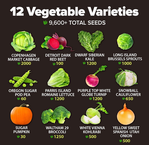 Fall & Winter Vegetable Seed Pack – 9600+ Non-GMO Heirloom Seeds for Cold-Season Gardening – Easy-Grow Cool Weather Veggies,…