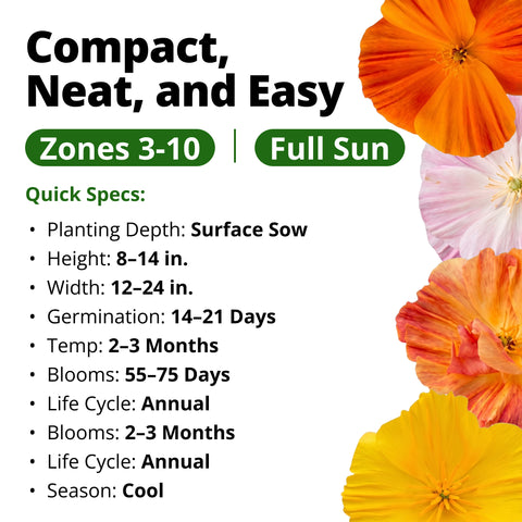 California Poppy Seeds (Eschscholzia Californica) Ballerina Mix - 10,000 Non-GMO Heirloom Seeds, Orange Pink Red Rose & Cream, Drought-Tolerant
