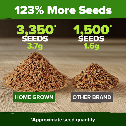 10 Varieties Rainbow Carrot Seeds