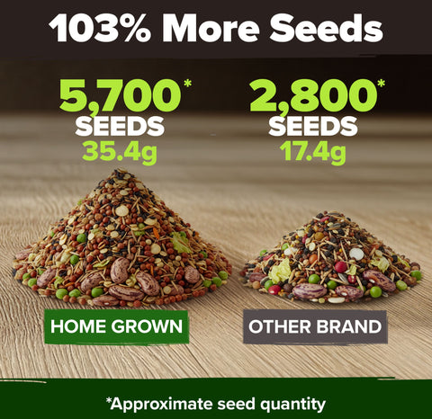 Heirloom Vegetable Seeds - (10 Variety)