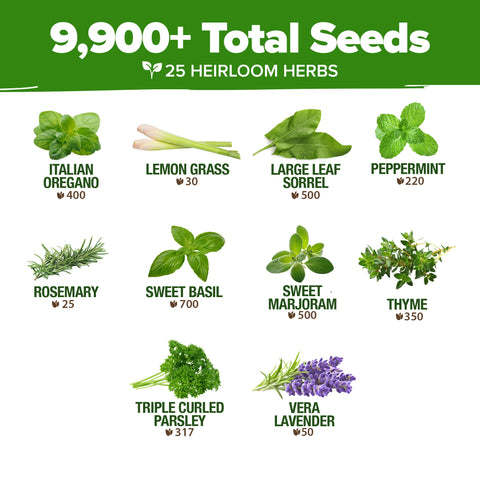 Culinary Herb Seed Vault - (25 Variety)