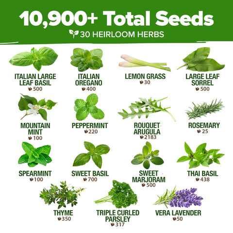 Culinary Herb Seed Vault - (30 Variety)